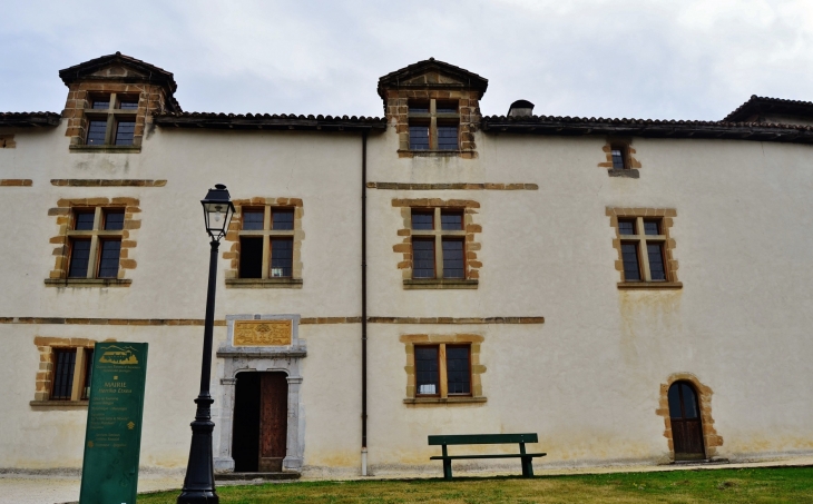 La Mairie ( ancien château des Barons d'Ezpeleta ) - Espelette