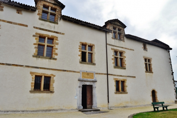 La Mairie ( ancien château des Barons d'Ezpeleta ) - Espelette