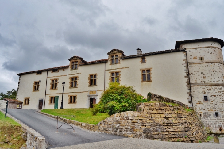 La Mairie ( ancien château des Barons d'Ezpeleta ) - Espelette