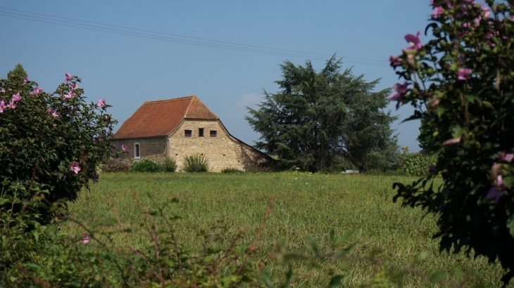 Une grange - Géus-d'Arzacq