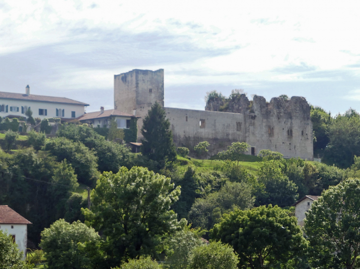 Vue sur le château - Guiche