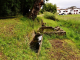 Photo précédente de Guiche Le Lavoir