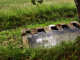 Le Lavoir