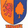 Blason de Halsou