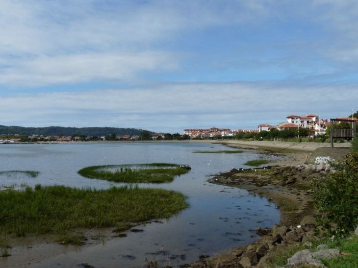 La lagune - Hendaye