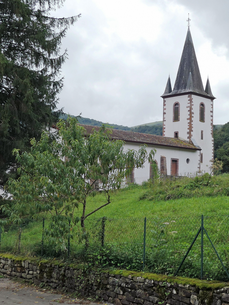 L'église - Hosta