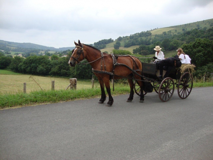 Lantabat (64640) à Lantabat St.Martin, un mariage: chariot de la mariée