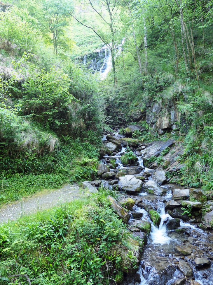 Le gave dans la montagne - Larrau