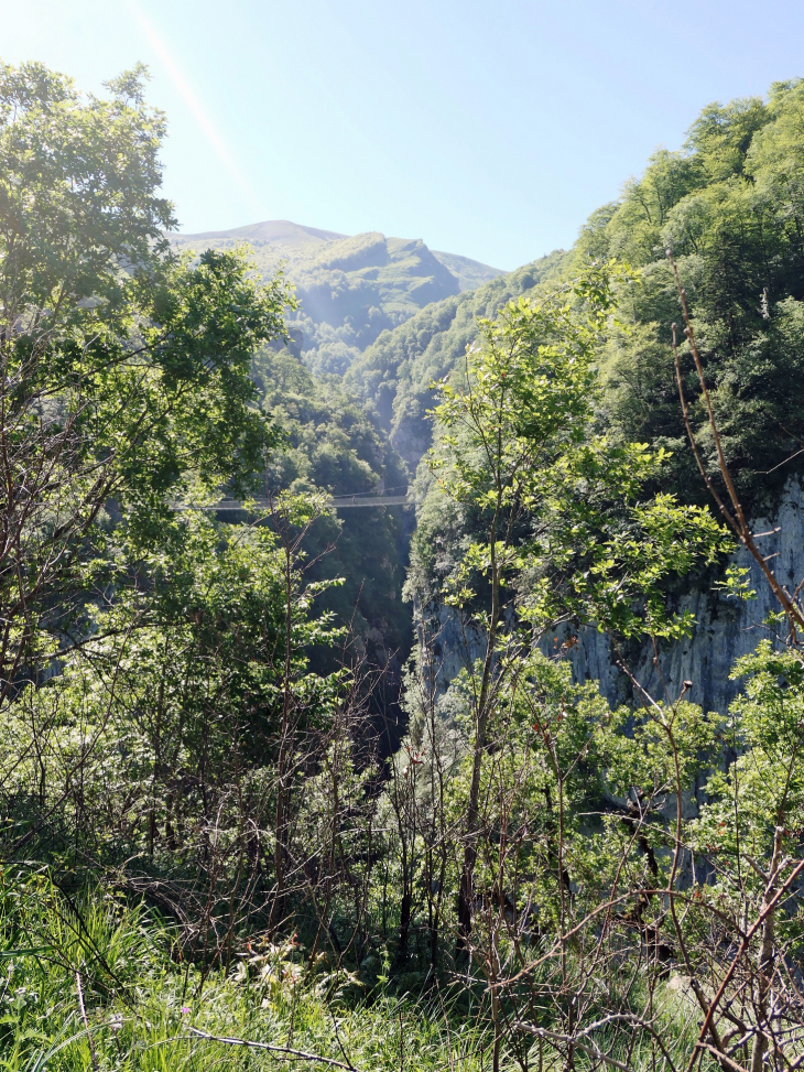 Les gorges d'Holzarte - Larrau