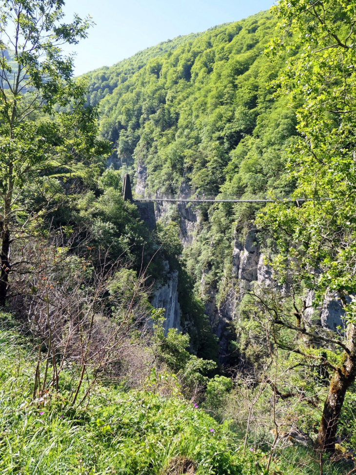 Les gorges d'Holzarte : la passerelle - Larrau