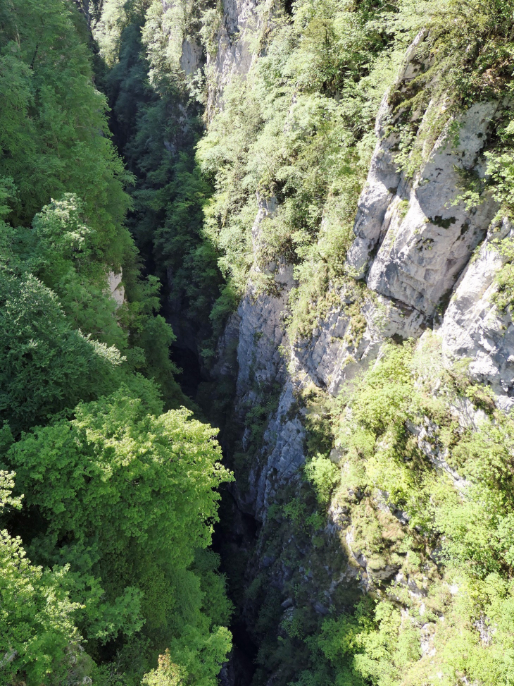 Les gorges d'Holzarte : sous  la passerelle - Larrau