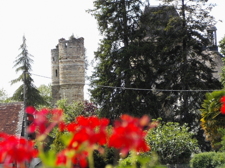 Une belle vue de la tour de Lucq - Lucq-de-Béarn