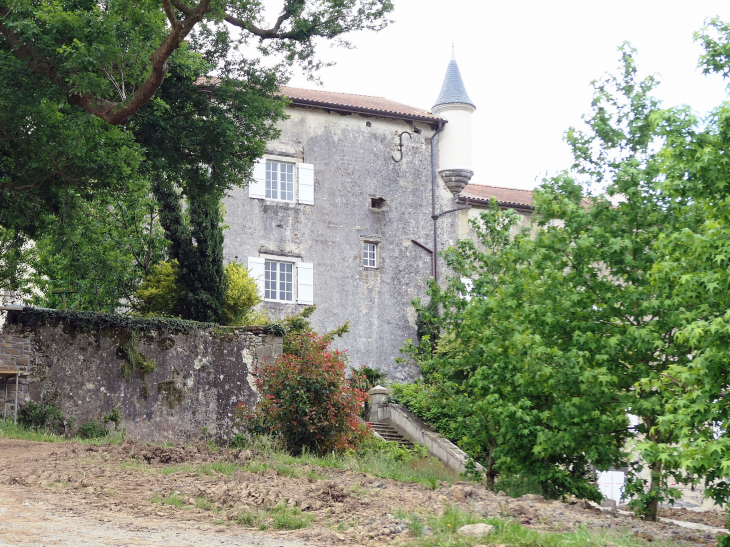 Le château de Belzunce - Méharin