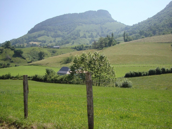 Montory (64470) Pic d'Arguibelle (795 m)