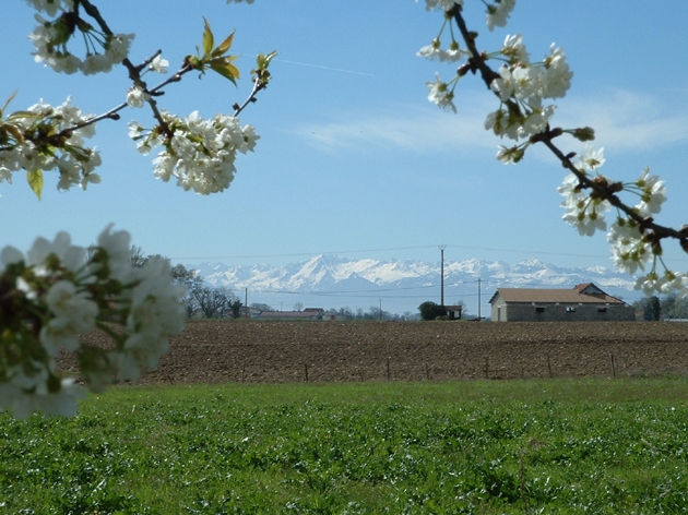 Pyrenees - Mouhous