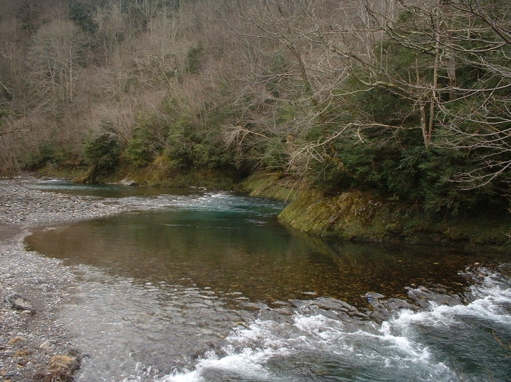 Joli coin de pêche dans le gave d - Oloron-Sainte-Marie