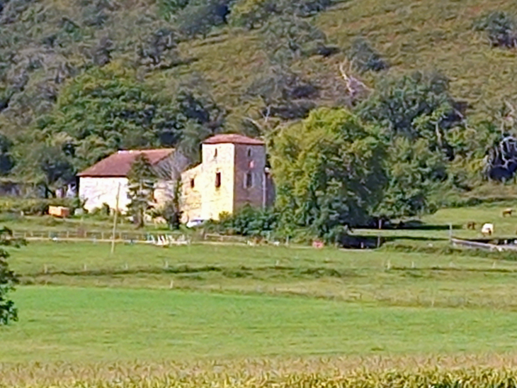 Ferma dans la campagne - Ostabat-Asme