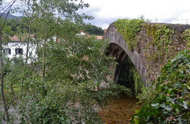 Le Pont Romain sur La Nive - Saint-Étienne-de-Baïgorry