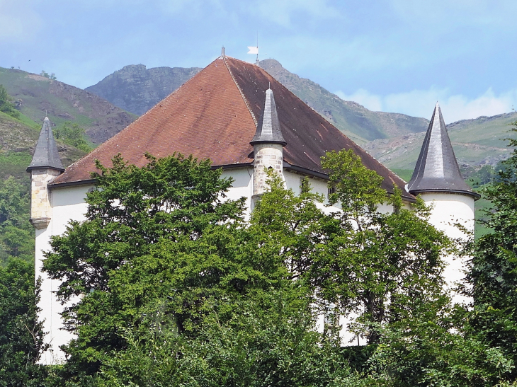 Le château - Saint-Étienne-de-Baïgorry