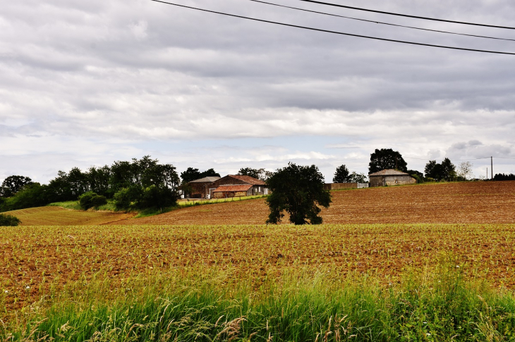 Campagne - Saint-Girons-en-Béarn