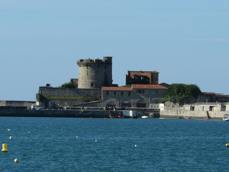 Soccoa - Saint-Jean-de-Luz