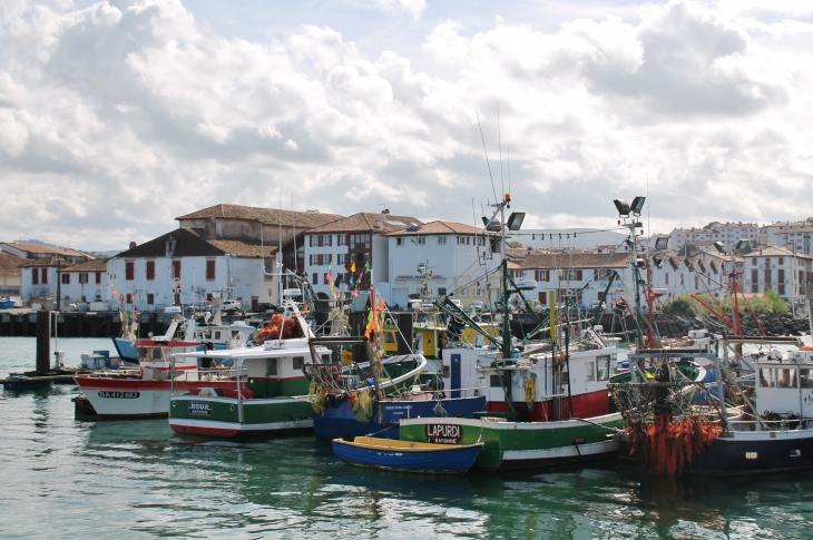 Le Port - Saint-Jean-de-Luz