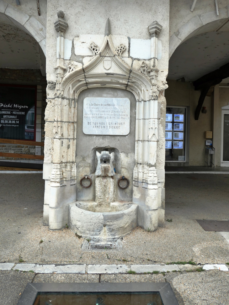 Place du Bayaà : la fontaine du Sanglier - Salies-de-Béarn