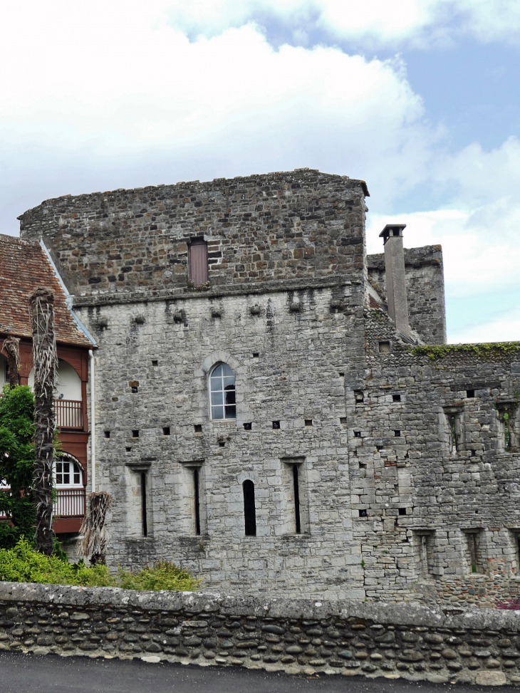 Les ruines du vieux château - Sauveterre-de-Béarn