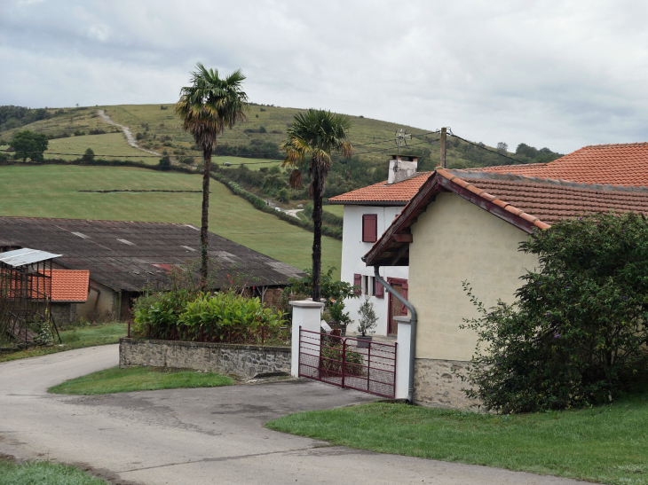 Hiriburia sur le chemin de Saint Jacques - Uhart-Mixe