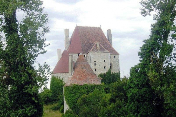 Le château de Fourchaud - Besson