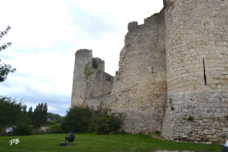 --Château de Billy ( 12 Em Siècle )