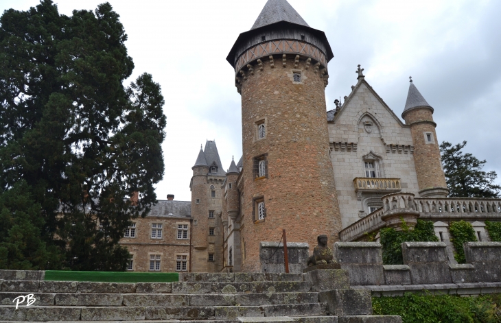 -Château Médiéval du 13 Em Siècle  - Busset