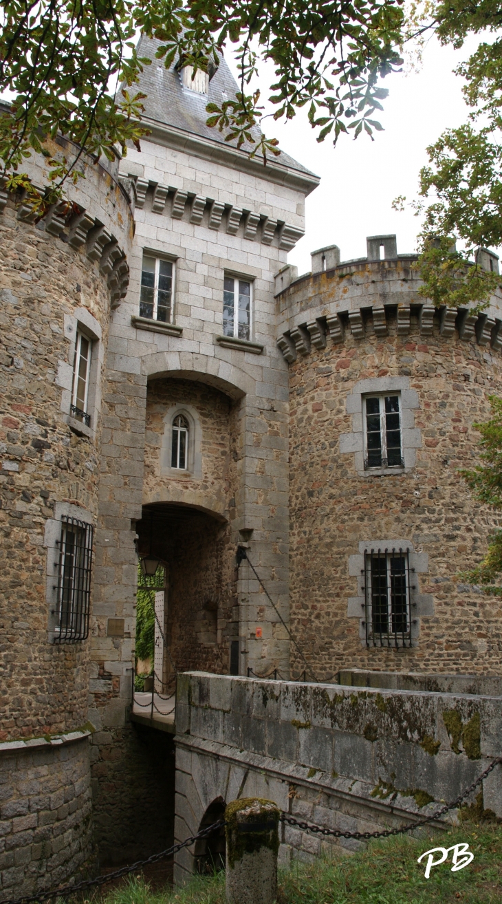 -Château Médiéval du 13 Em Siècle  - Busset