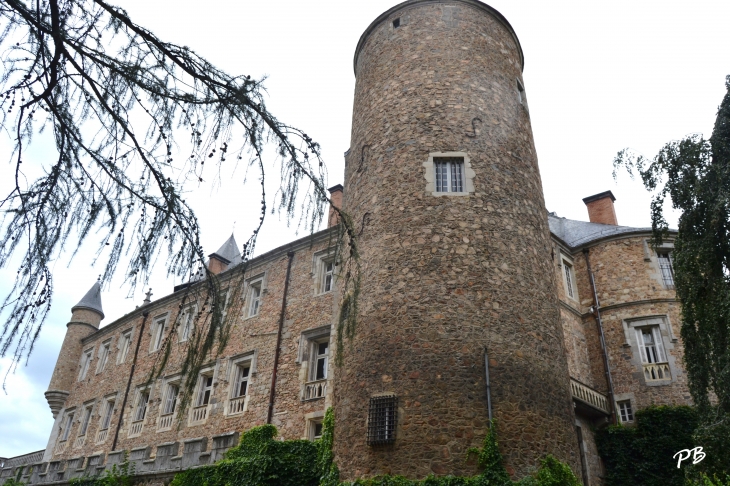 -Château Médiéval du 13 Em Siècle  - Busset