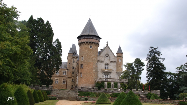 -Château Médiéval du 13 Em Siècle  - Busset