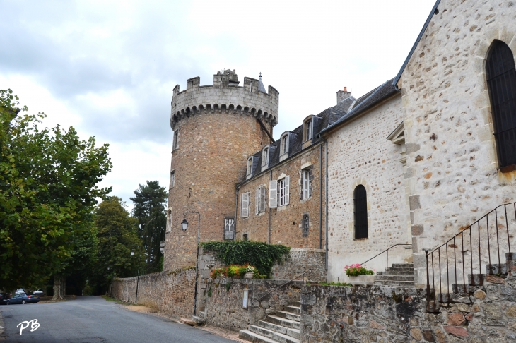 -Château Médiéval du 13 Em Siècle  - Busset