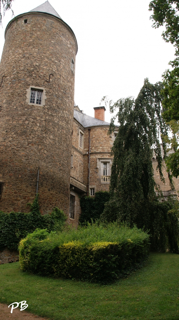 -Château Médiéval du 13 Em Siècle  - Busset