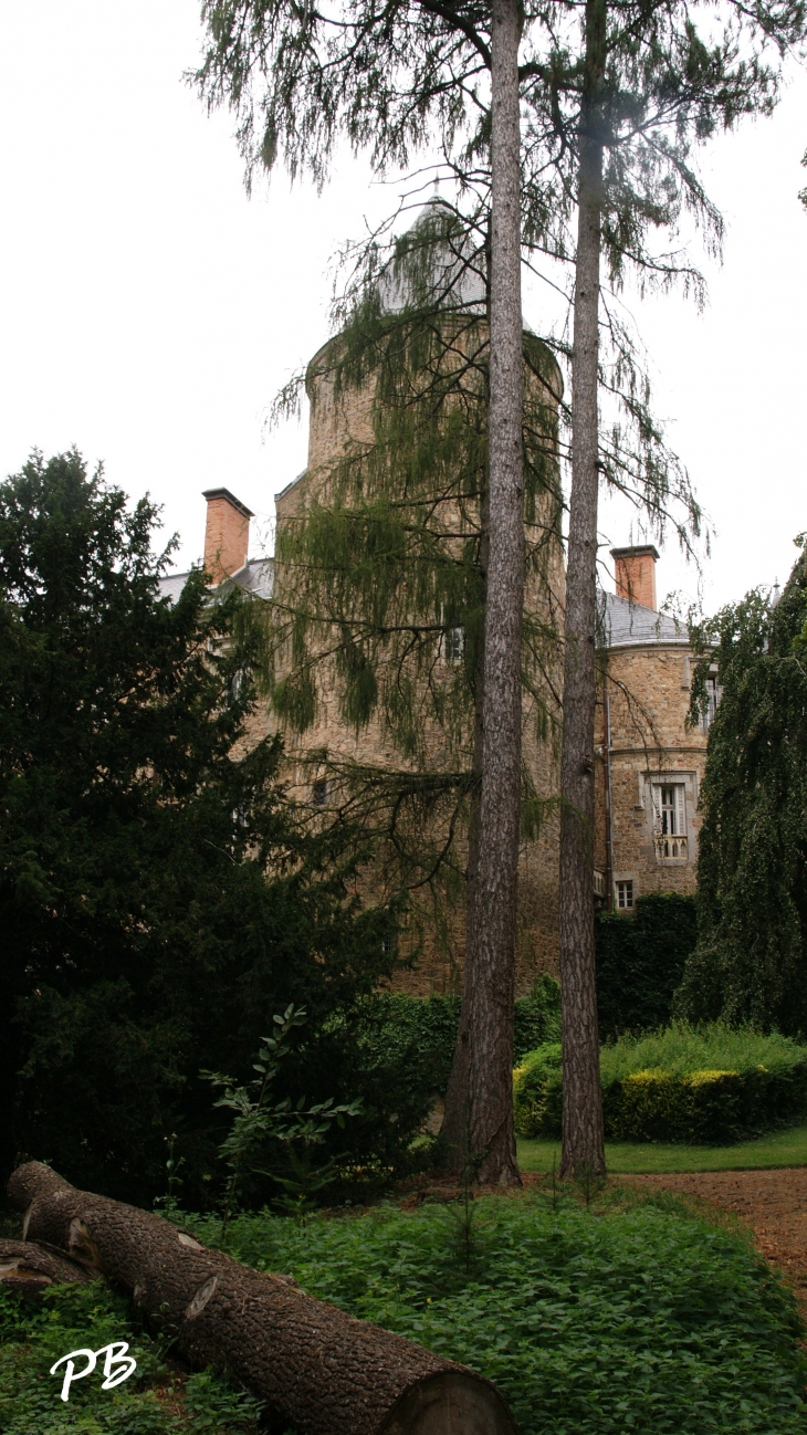 -Château Médiéval du 13 Em Siècle  - Busset