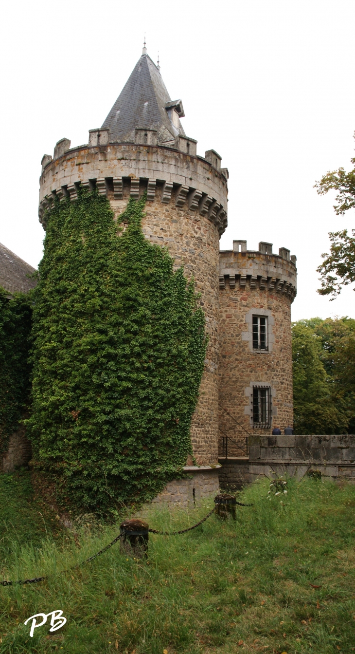 -Château Médiéval du 13 Em Siècle  - Busset