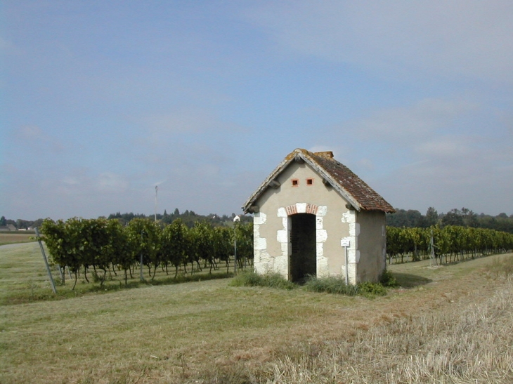 Vignoble de Cesset.....