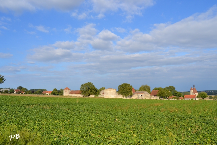 &Château D'Artanges ( 17 Em Siècle ) - Chareil-Cintrat