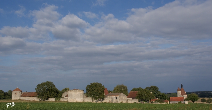 &Château D'Artanges ( 17 Em Siècle ) - Chareil-Cintrat