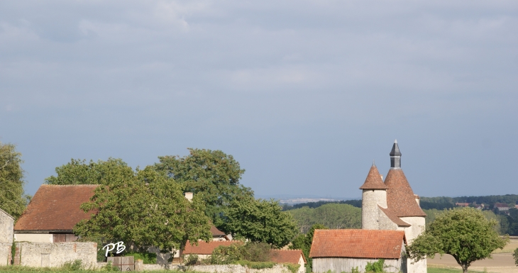 &Château D'Artanges ( 17 Em Siècle ) - Chareil-Cintrat