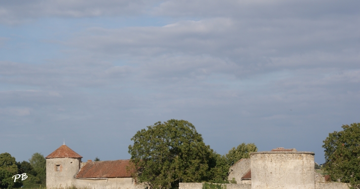 &Château D'Artanges ( 17 Em Siècle ) - Chareil-Cintrat