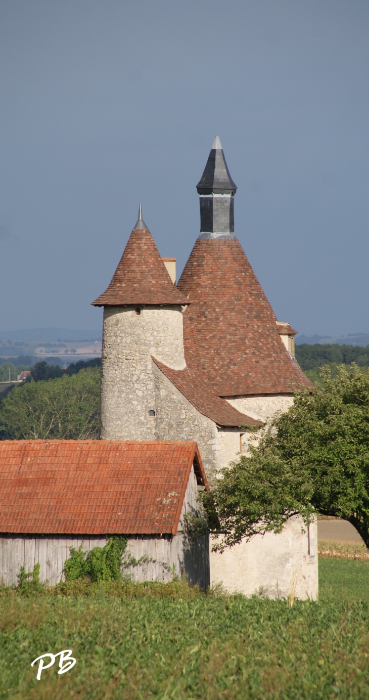 &Château D'Artanges ( 17 Em Siècle ) - Chareil-Cintrat