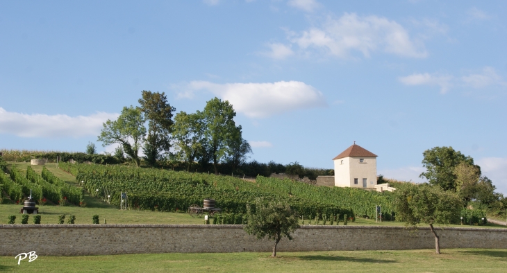 &Château de Chareil-Cintrat ( 16 Em Siècle ) Cépages Anciens du Conservatoire