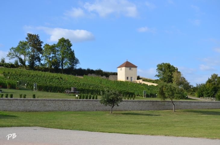 &Château de Chareil-Cintrat ( 16 Em Siècle ) Cépages Anciens du Conservatoire