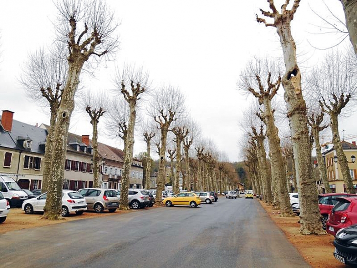 Cours Lafayette - Cusset