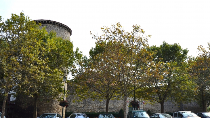 +Château Fort de Gannat (  Em Siècle )