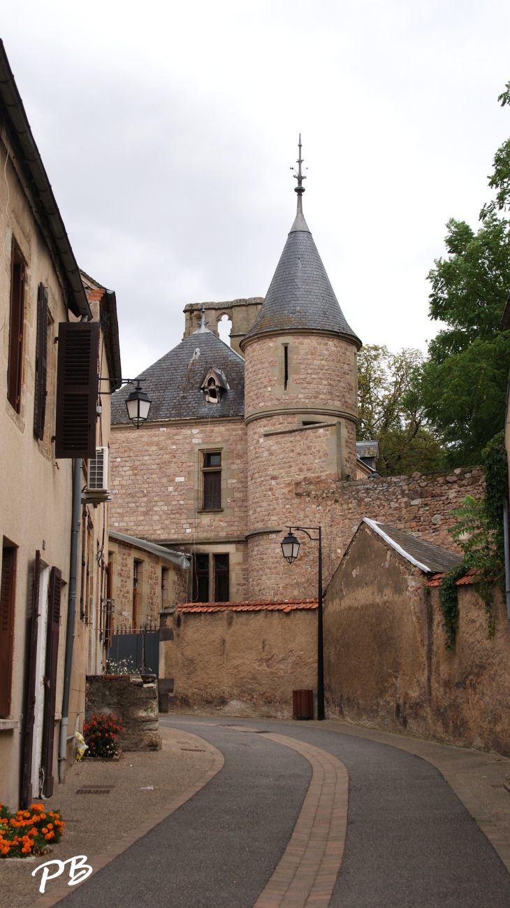 -Château de La Palice ( 12 Em Siècle ) - Lapalisse